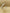 LEONOR headband