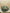 ZAFIRA headband