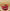 ELOISE headband